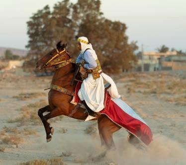 tunis2